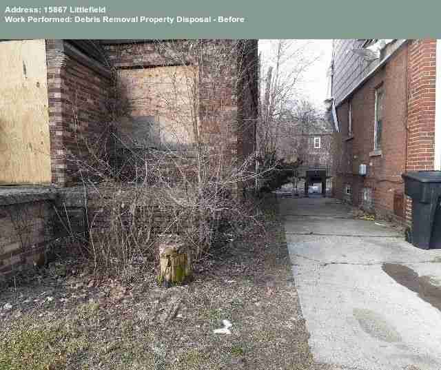 Testing again(9).jpg